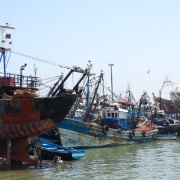 Essaouira (13)